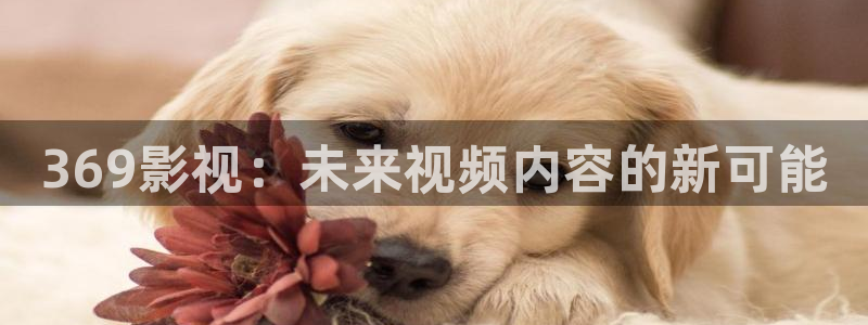 嫩草影院大全：369影视：未来视频内容的新可能