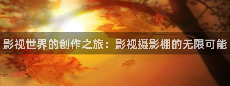 国产嫩草研究影院：影视世界的创作之旅：影视摄影棚的无限可能